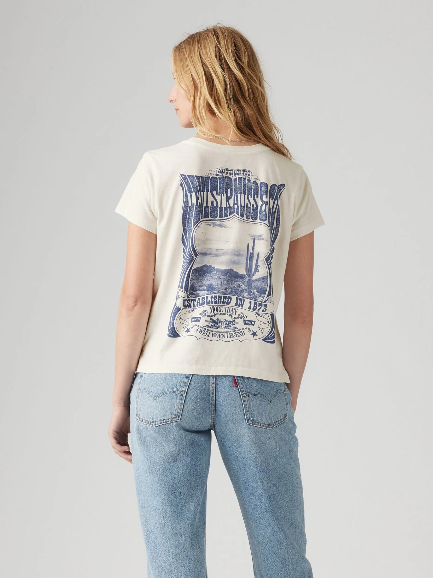 Levi’s Boxy Canyon Poster T-Shirt