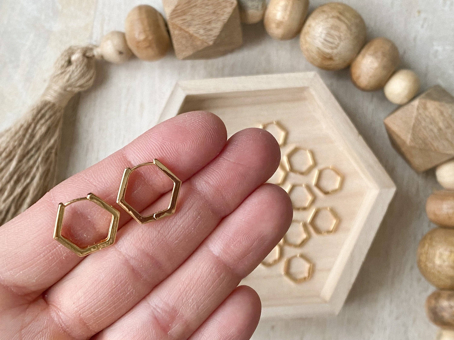 Agaveh Girl Hexi Huggie Earrings