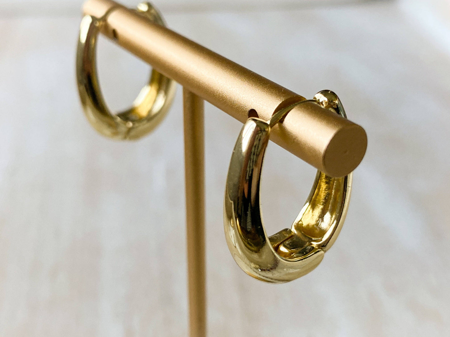Agaveh Girl Nola Hoop Earrings
