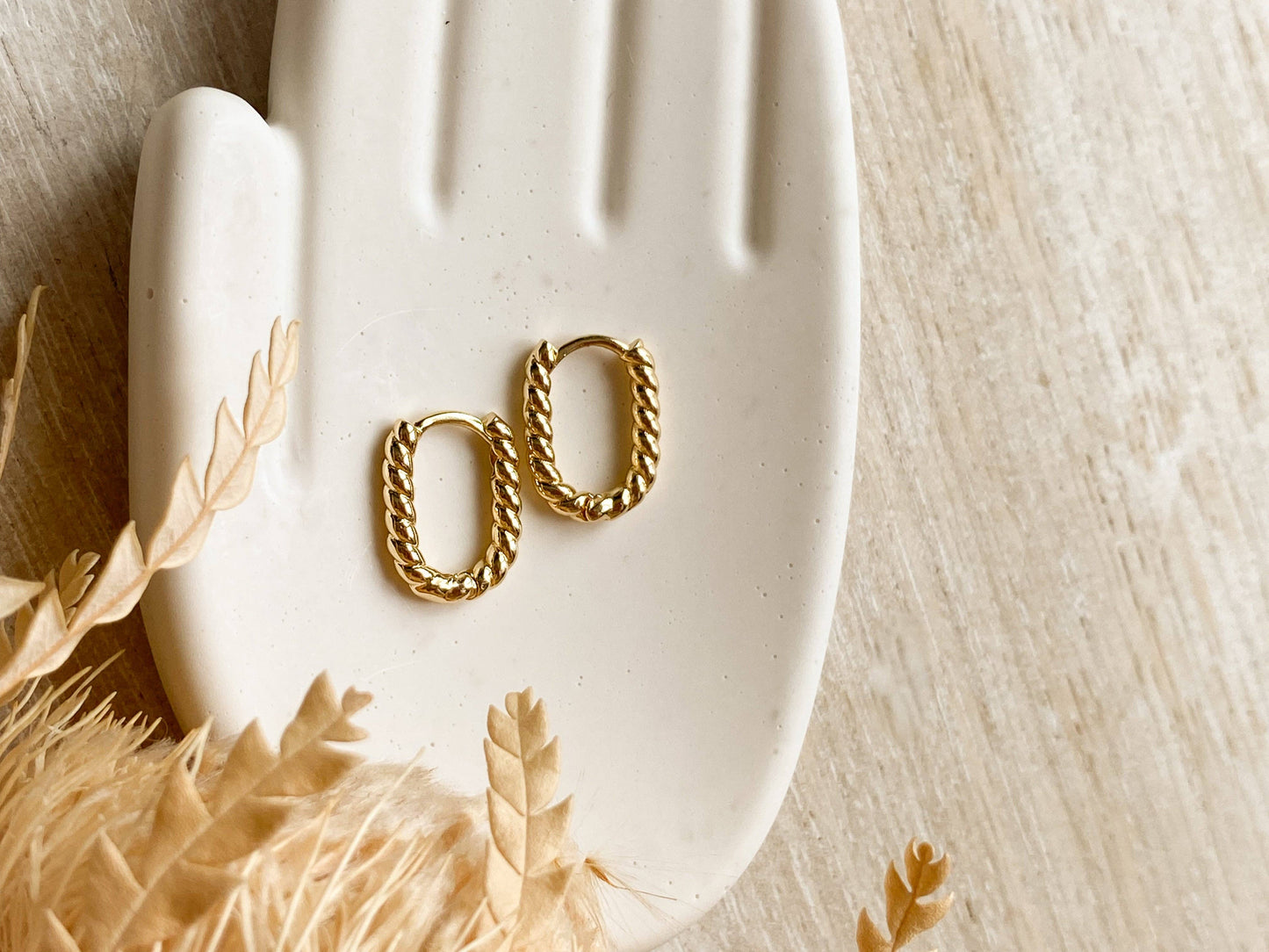 Agaveh Girl Roped Hoop Earrings