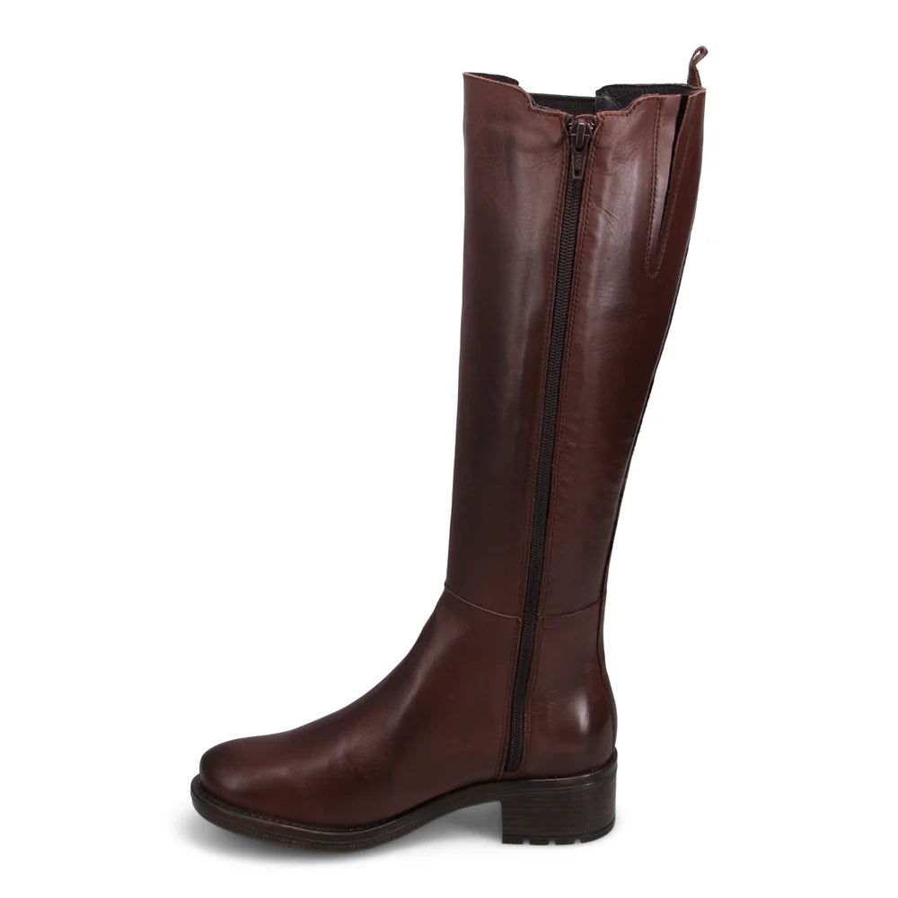 Caisey Tall Boot Brown