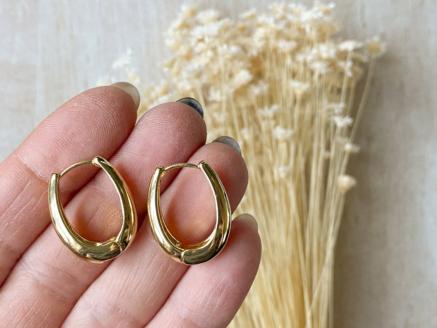Agaveh Girl Nola Hoop Earrings