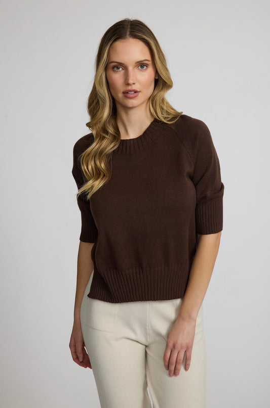 Pistache Short Sleeve Ribbed Hem Sweater Espresso