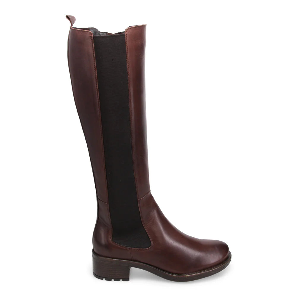 Caisey Tall Boot Brown